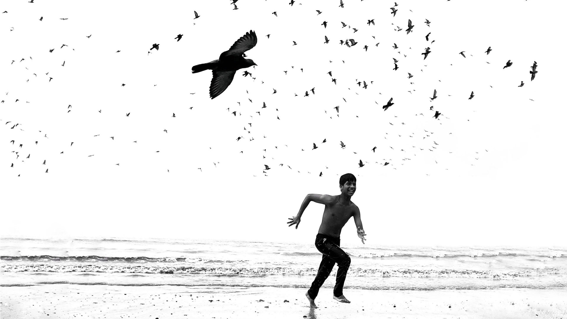 Photo of Boy on Beach with Birds