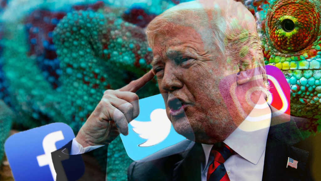 Trump Social Media and Lizard