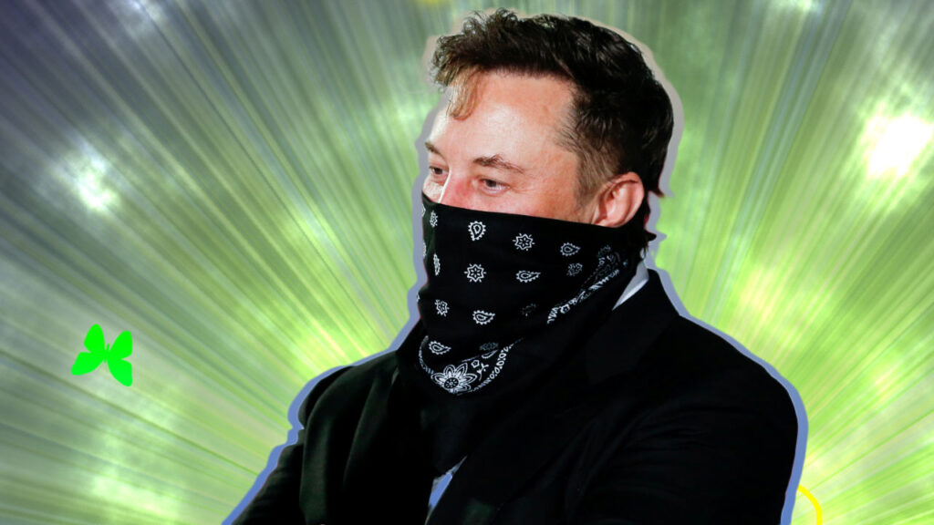 Elon Musk tweet storm