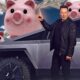 Elon Musk with Cybertruck standing in front of an imaginary backdrop of flying piggy banks