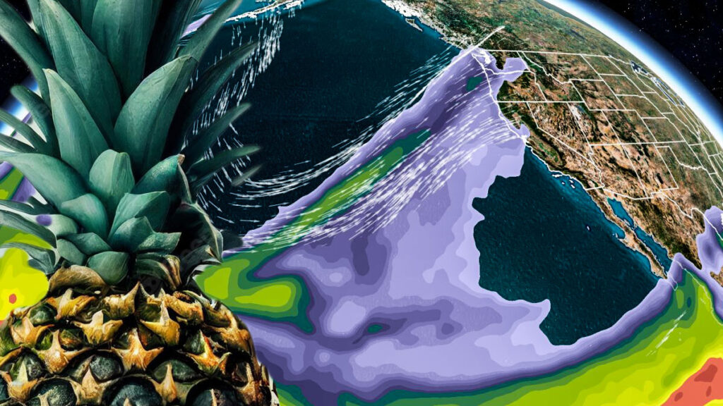 Pineapple superimposed on a weather map showing an atmospheric river