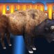 A 3D portrait of a buffalo in front of a slot machine backdrop