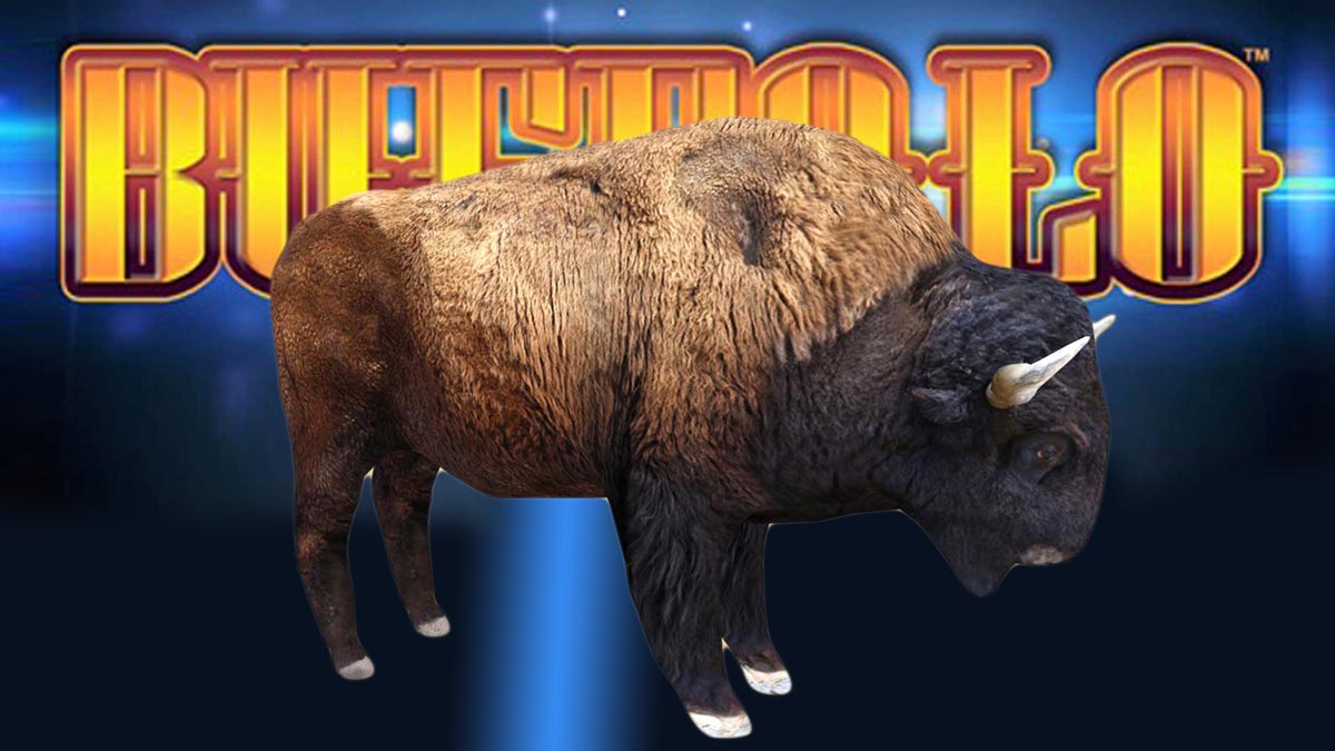 A 3D portrait of a buffalo in front of a slot machine backdrop
